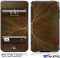 iPod Touch 2G & 3G Skin - Bushy Triangle