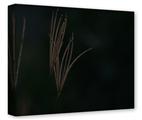 Gallery Wrapped 11x14x1.5  Canvas Art - Whisps