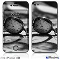 iPhone 4S Decal Style Vinyl Skin - Whirligig